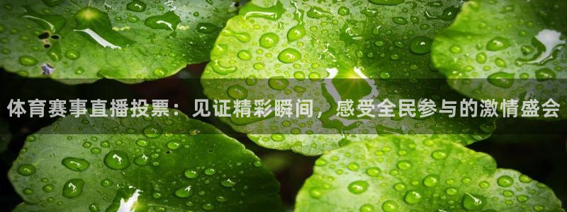 833足球直播平台：体育赛事直播投票：见证精彩瞬间，感受全民参与的激情盛会