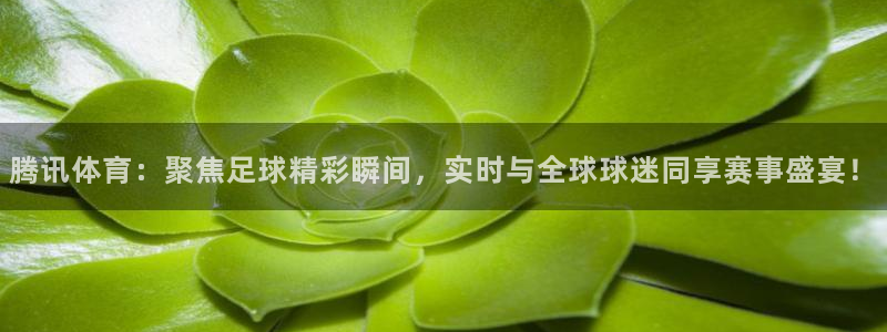 nba833直播：腾讯体育：聚焦足球精彩瞬间，实时与全球球迷同享赛事盛宴！