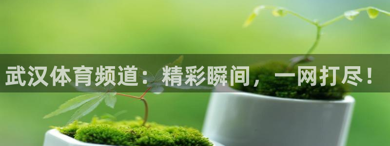 833nba直播免费高清直播：武汉体育频道：精彩瞬间，一网打尽！