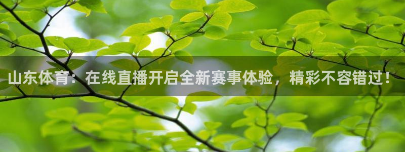 833足球直播免费观看直播：山东体育：在线直播开启全新赛事体验，精彩不容错过！