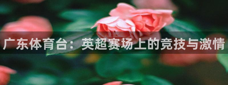 球帝833直播入口：广东体育台：英超赛场上的竞技与激情