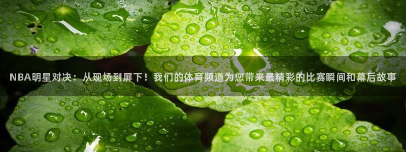 833直播篮球比赛在线观看：NBA明星对决：从现场到屏下！我们的体育频道为您带来最精彩的比赛瞬间和幕后故事
