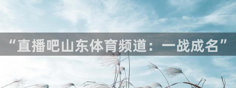 833直播足球比赛在线观看：“直播吧山东体育频道：一战成名”