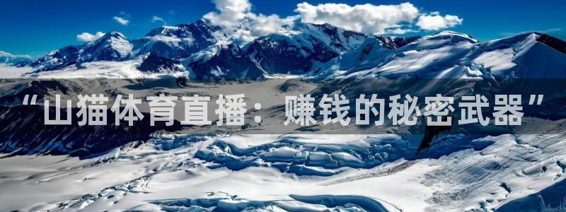 足球比赛直播间833：“山猫体育直播：赚钱的秘密武器”