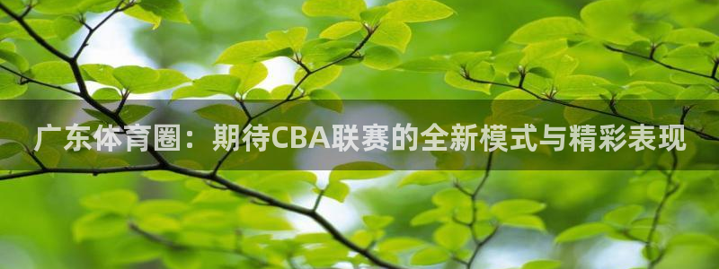 833比赛直播：广东体育圈：期待CBA联赛的全新模式与精彩表现