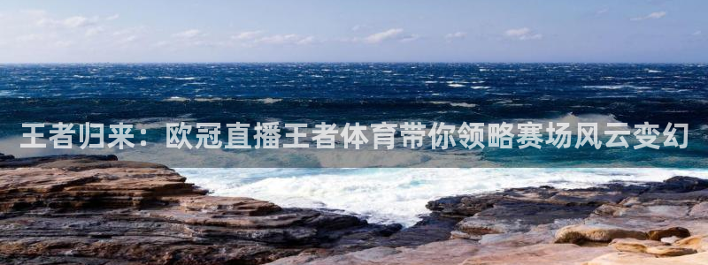 833体育直播免费观看：王者归来：欧冠直播王者体育带你领略赛场风云变幻