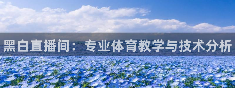 833直播足球比赛视频：黑白直播间：专业体育教学与技术分析