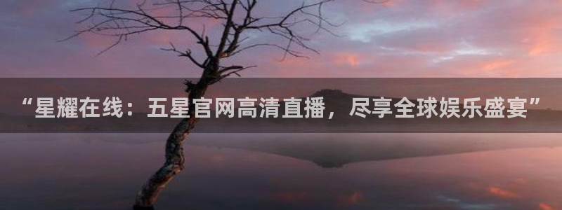833篮球直播比赛在线观看：“星耀在线：五星官网高清直播，尽享全球娱乐盛宴”
