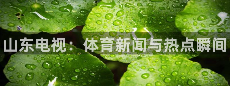 833篮球直播在线直播观看免费：山东电视：体育新闻与热点瞬间