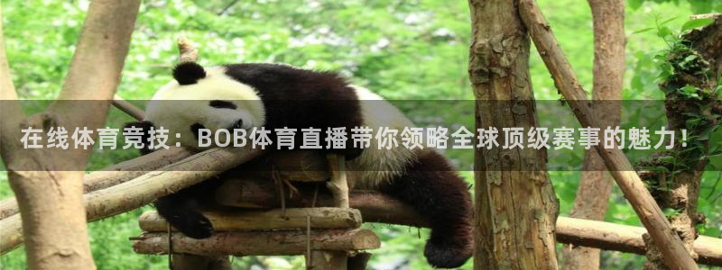 833看球直播在线观看：在线体育竞技：BOB体育直播带你领略全球顶级赛事的魅力！